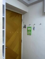 Blk 262C Compassvale Street (Sengkang), HDB Executive #626476771